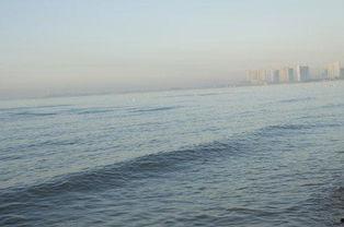 没有水的大海,探寻海洋的奇幻奥秘