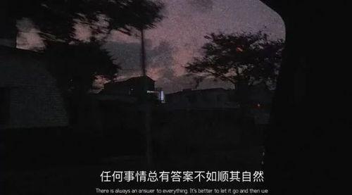 当我的指尖触碰到你的温度时,心灵的触碰