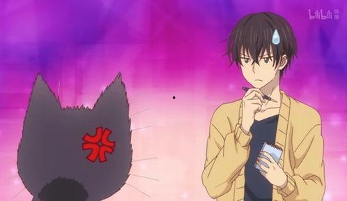 同居人是猫 同居人,我与猫咪的温馨日常