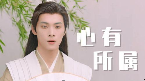 他似天上星,共绘夜空奇景——他似天上星