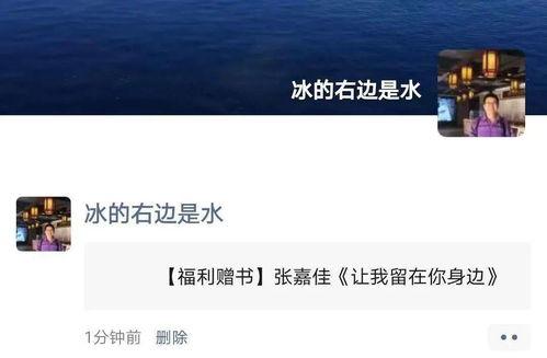 让我留在你身边 2025