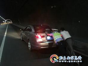 英国高速公路警察 第八季,揭秘新案件与英勇行动